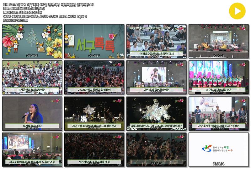 [2017 서구톡톡 67회] 인천사랑 애인어울림 문화마당 사진